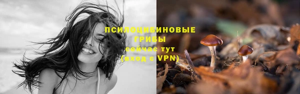 ГАЛЛЮЦИНОГЕННЫЕ ГРИБЫ Алексеевка