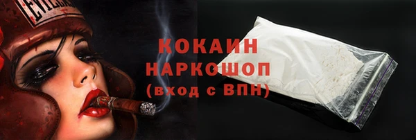 стафф Алзамай