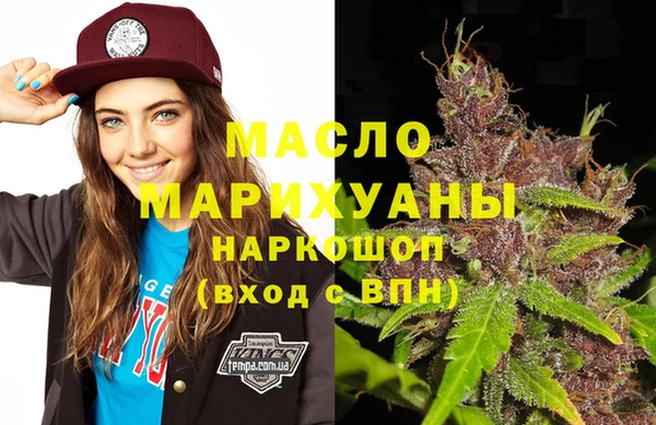 индика Ельня