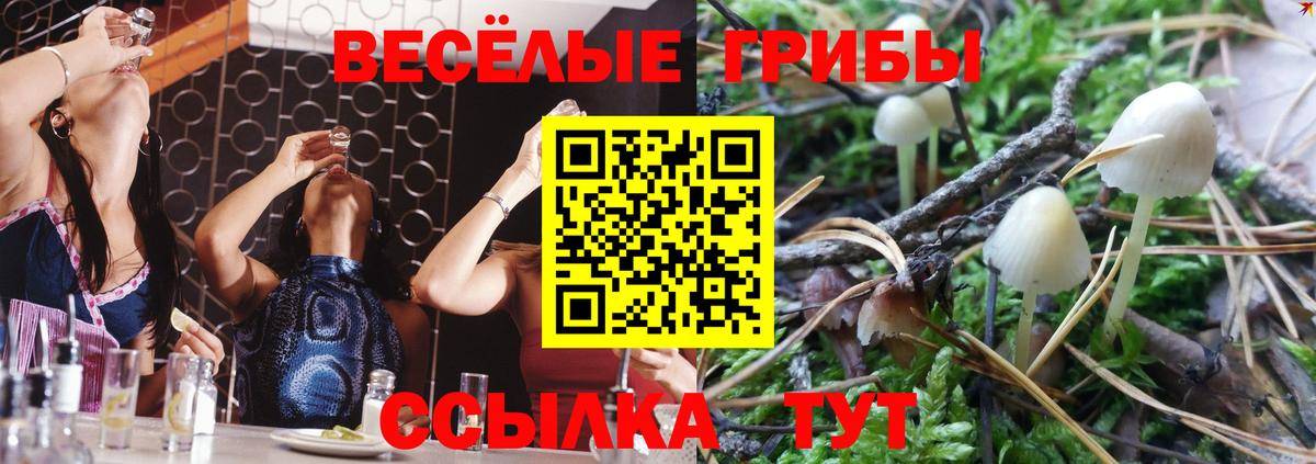 Галлюциногенные грибы MAGIC MUSHROOMS Нижний Новгород